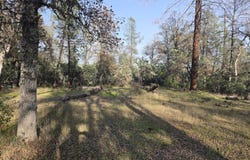 Lake Boulevard, Redding, CA 96002