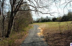 TRACT 4 Price Hill Spur Road, Campbellsville, KY 42718