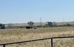 17616 N Private Road 2220, Abernathy, TX 79311