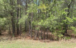 1147 WATERSEDGE Cove, Tignall, GA 30668