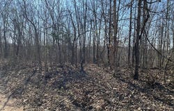 Tract #4 Lake Road, Silva, MO 63964