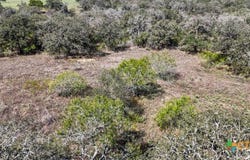 2296 Zion Hill Road, Seguin, TX 78155