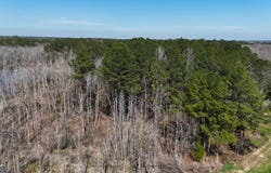 01 Bar M Farm, Andalusia, AL 36421
