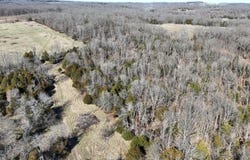 Tract 5 38 Highway, Hartville, MO 65667