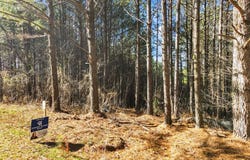 Foxpaw Leaf Lane, Ellijay, GA 30536