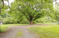 113 Polk Road 91, Hatfield, AR 71945