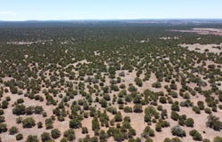 Tbd Show Low 40ac, Show Low, AZ 85901