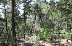 1 OWL Road, Tijeras, NM 87059