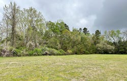 0 Highway 78, Saint George, SC 29477