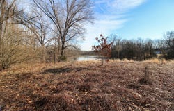 Shorewood Lot 1 Drive, Three Rivers, MI 49093