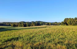 Daniels Run Road, Check, VA 24072