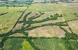 Cowsert Road, Braymer, MO 64624