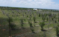 Tbd Fm-2861, Comanche, TX 76442