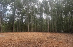 2 Francis Marion Blvd, Summerton, SC 29148