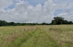 Danville, AR 72833