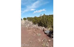 8594 BOBCAT Drive, Show Low, AZ 85901