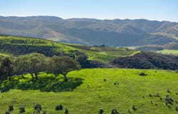Sweeney Road, LOMPOC, CA 93436