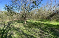 7603 Timber Hills Dr, Del Valle, TX 78617