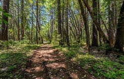 7443 Rockydale Road, Cave Junction, OR 97523