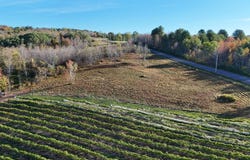 00WP Travis Hill Rd, Preston Hollow, NY 12469