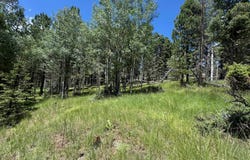 Lot 44 Calle de los Indios, Angel Fire, NM 87710