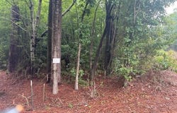 00 Loop Road Road, Bunnlevel, NC 28323