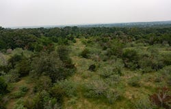 Private Road 4601 lot: 3, Waelder, TX 78959