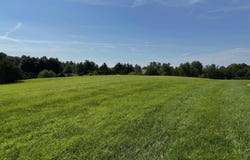 Grand Avenue, Fairfield, IA 52556