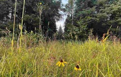 TBD Bodas Rd., Eveleth, MN 55734