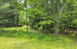213 HIGHLAND DRIVE, FRANKLIN, WV 26807