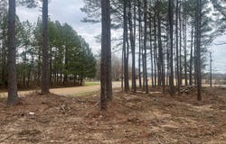 2985  Carrollton Road, Grenada, MS 38901