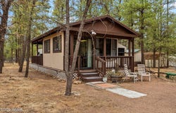 2164 S Woods Drive, Overgaard, AZ 85933