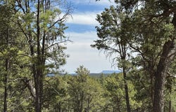 Lot 25, Pecos, NM 87552