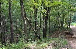 Church Road, Parker, PA 16049