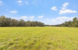 Waukeenah Highway, Monticello, FL 32344