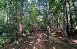 0 Roper Mountain Court, Lexington, SC 29073