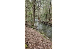 0 Old Holy Water Road, Tracy City, TN 37387