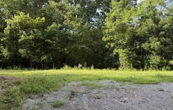 1121 Galbraith Rd., Brooksville, KY 41004