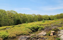 2 Whispering Berries Hill, Liberty, ME 04949