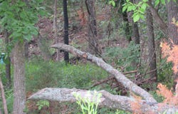 S 33rd Road, Humansville, MO 65674