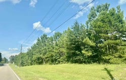 Wild Avenue, Evergreen, AL 36401