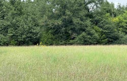 1 Yancy Lamb Drive, New Market, AL 35761