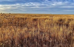 TBD County Road W, Eads, CO 81036