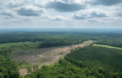 Mossingford Rd, Randolph, VA 22209
