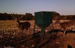  Other, Sonora, TX 76950