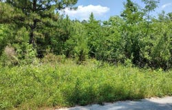 00 Lot2 Meagen Lane, Manning, SC 29102