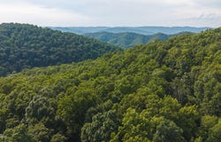 0 Gravley Valley Road, Eidson, TN 37731