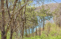 Tbd 789 Everest (Lot 4) Road, Galena, MO 65656