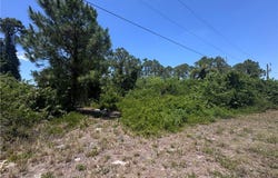 56 Wanda Avenue S, Lehigh Acres, FL 33976
