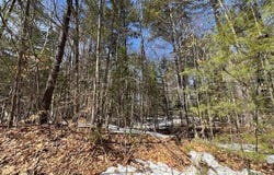 204 Mountain Path, North Creek, NY 12853